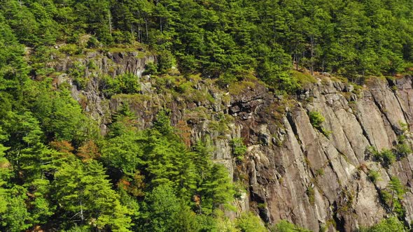 Aerial footage ORBIT around forested cliff in Maine