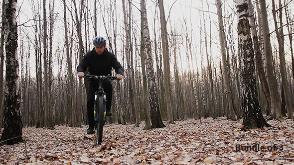 Cyclist in the Woods