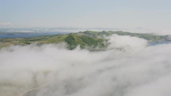 Aerial View of the Krabbe Peninsula in Summer