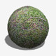 Seamless Moss Texture - 3DOcean Item for Sale