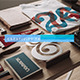 Picture Show - VideoHive Item for Sale