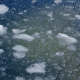 Pieces of Ice Moving on Frozen Sea - VideoHive Item for Sale
