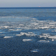 Ice Floes Drifting in Winter Sea - VideoHive Item for Sale