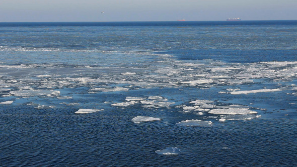 Ice Floes Drifting in Winter Sea