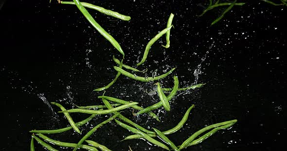 900371 Green Beans or French Beans, phaseolus vulgaris, Vegetable falling on Water, Slow motion 4K