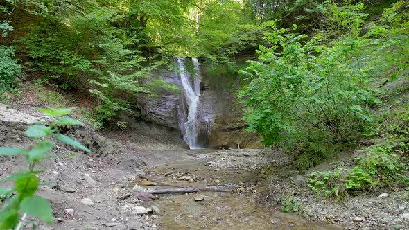 Zoom in shot of idyllic lush waterfall flowing down the cliff wall surrounded by green forest plants