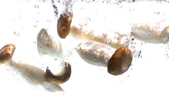 Mushroom Dropping In Water