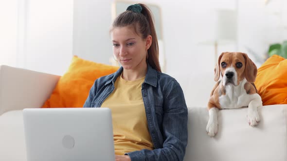 Woman Working with Laptop and Sits on Couch with Dog at Apartment Room Spbi