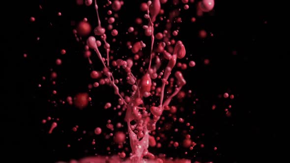 Bright Red And Pink Paint Splashing With Droplets Into Air