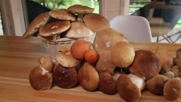 Porcini Mushrooms on the Table