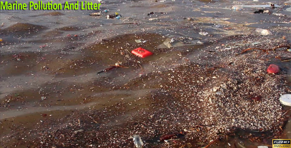 Marine Pollution And Litter 