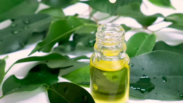 Tea Tree Essential Oil in Small Bottles