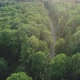 Aerial View of Green Forest with Road and Car - VideoHive Item for Sale