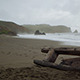 Driftwood on the Beach - VideoHive Item for Sale