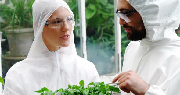 Man and woman interacting while looking at potted plant