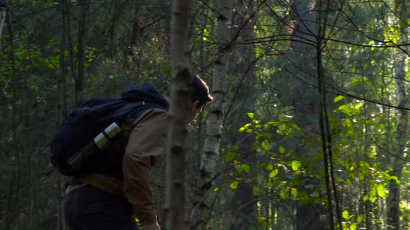 A Hiker Walks Through a Forest