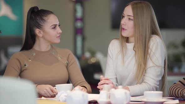 Portrait of Two Young Beautiful Women Talking and Laughing As Sitting in Cafe. Positive Female