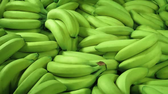 Unripe Green Bananas - Fruit Import Shipping Supermarket