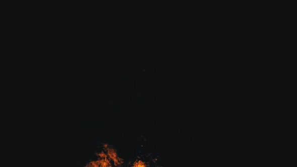 Fire Flames on a Black Background in Slow Motion Bonfire Burning at Night