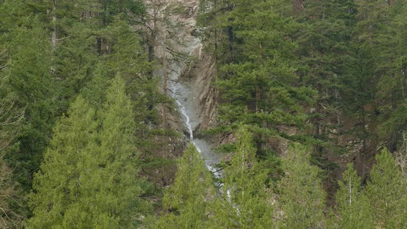 Mudslide or landslide natural disaster in a mountainside forest, still shot