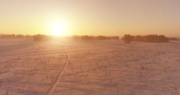 Aerial Drone View of Cold Winter Landscape with Arctic Field Trees Covered with Frost Snow and