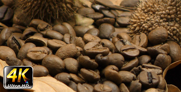 Roasted Coffee and Dry Leaves 4