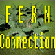 Fern Connection 1 - 3DOcean Item for Sale