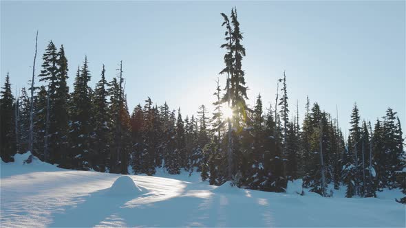 Beautiful Snow Covered Landscape in Canadian Mountain Nature