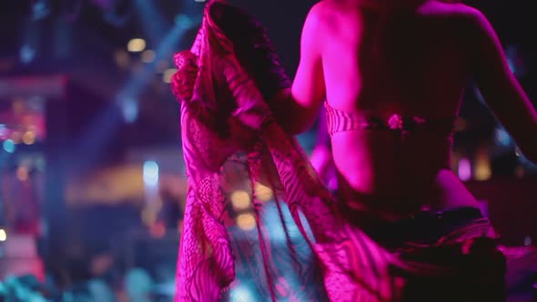 Gogo Dancer And Crowd At A Nightclub 3 alt