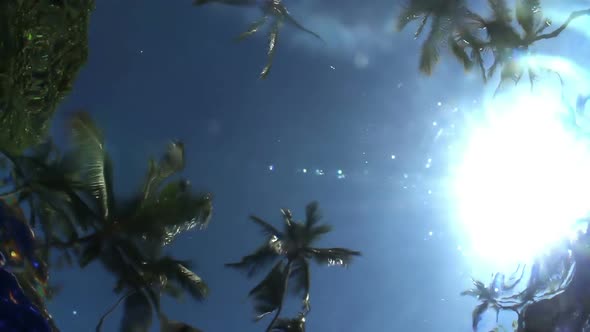 Underwater Pool Palmtrees Sun 1 alt