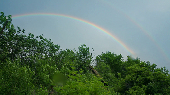 Rainbow Over Forest