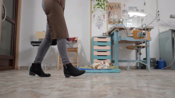 Cropped Image Of A Female Entrepreneur In Brown Apron Walking Inside Workplace With Pet Dog Lying On