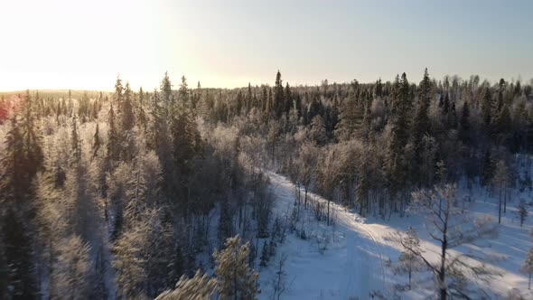 Aerial view of a forest in winter in Overtornea, Sweden.
