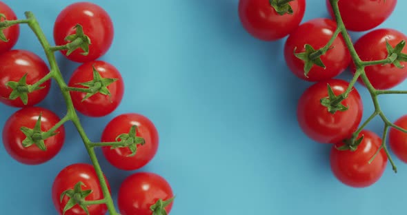 Video of fresh cherry tomatoes with copy space on blue background