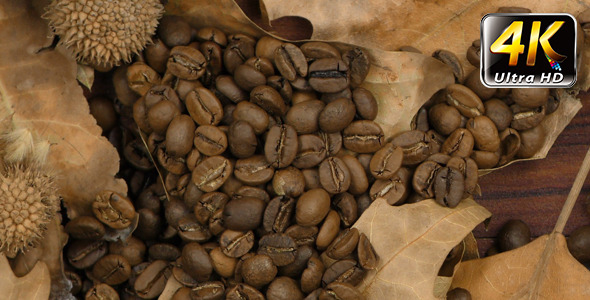 Roasted Coffee and Dry Leaves 1