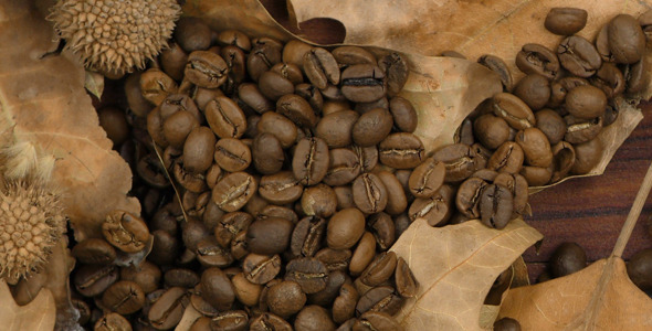 Roasted Coffee and Dry Leaves 1