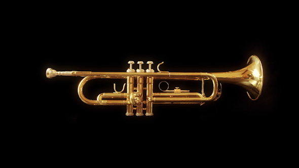 Trumpet 02