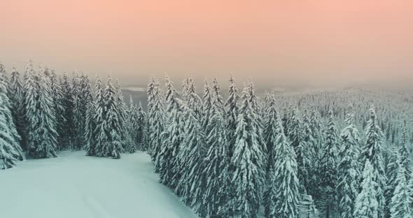 Sunrise at Winter Mountain Forest Aerial