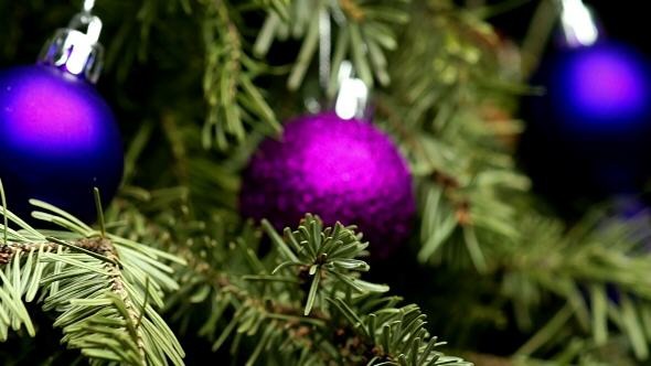 Coniferous Tree with Colorful Balls
