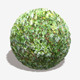 Ivy Wall Seamless Texture - 3DOcean Item for Sale