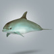 Dolphin Lowpoly - 3DOcean Item for Sale