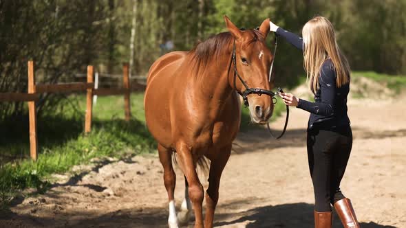 Young Female Equestrian Does Gymnastics with Brown Horse During Training