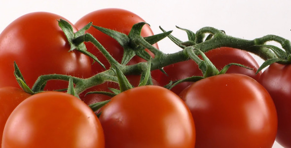 Tomato on Plate 3