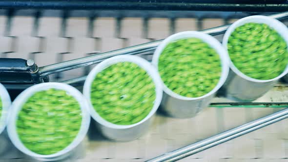 Top View of Green Peas in Tin Cans Moving Along the Conveyor