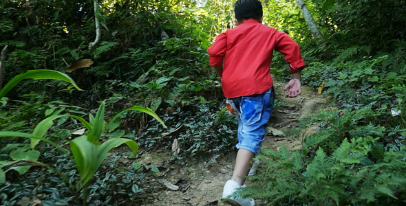 Kid Walking In Forest Trail