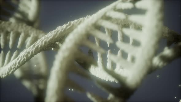 Double Helical Structure of Dna Strand Close-up Animation