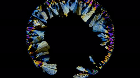 The beautiful formation of crystals under the microscope