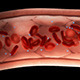 Blood Cells in Vessel with/without Molecules - VideoHive Item for Sale