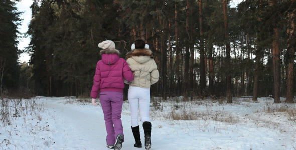 Winter forest walk