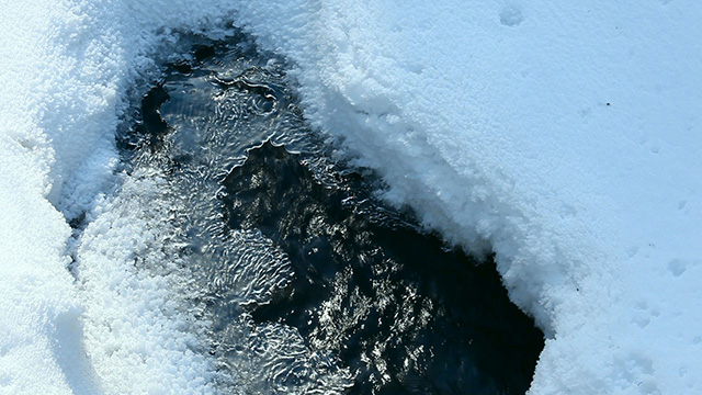 Snow and water.